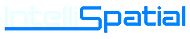 IntelliSpatial Logo
